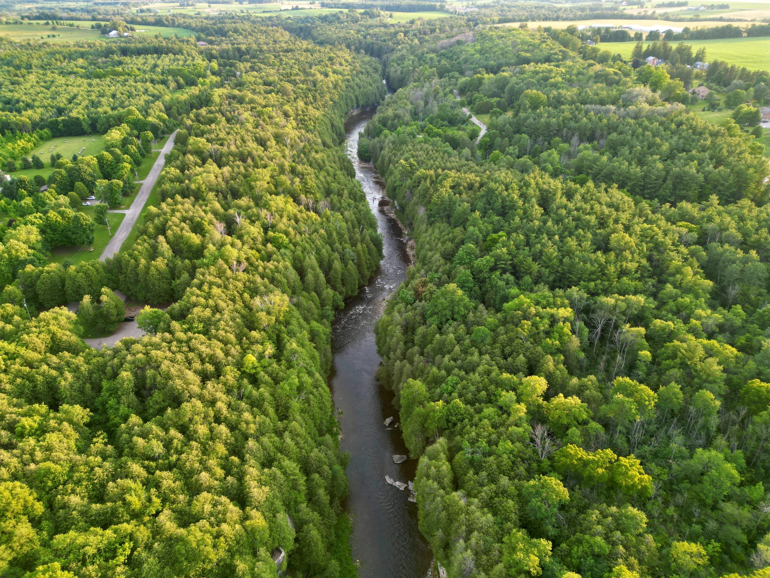 grand river stretching across sprawling green forests. aerial photography of Fergus Ontario